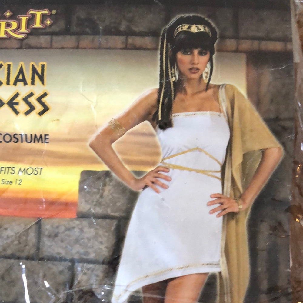 Greek Goddess Costume